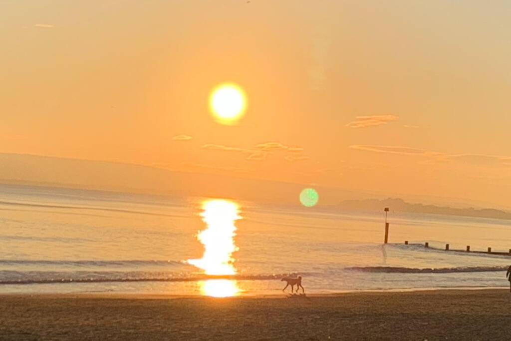 Bournemouth Nr Town Beach Train Coach Shops Lovely Entire Apartment Allows Quiet Good Dogs Bagian luar foto