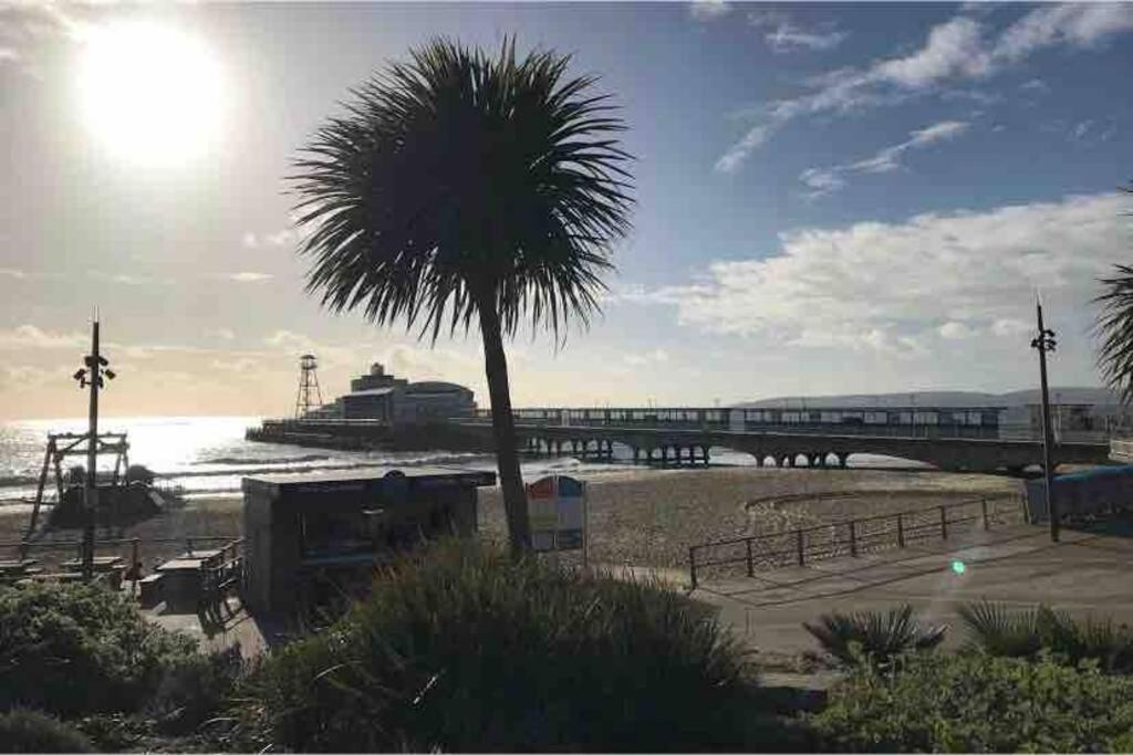 Bournemouth Nr Town Beach Train Coach Shops Lovely Entire Apartment Allows Quiet Good Dogs Bagian luar foto