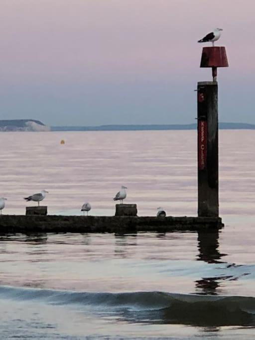 Bournemouth Nr Town Beach Train Coach Shops Lovely Entire Apartment Allows Quiet Good Dogs Bagian luar foto
